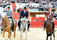 Queimas da fitas 2014 na Figueira da Foz
